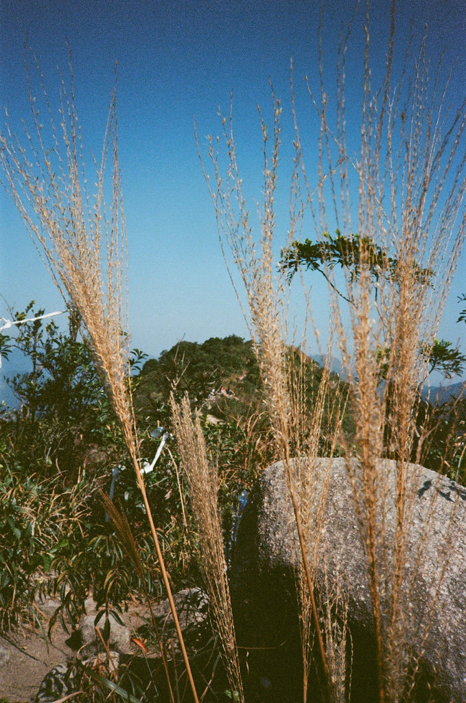 Kodak Ektar 100 - 菲林.